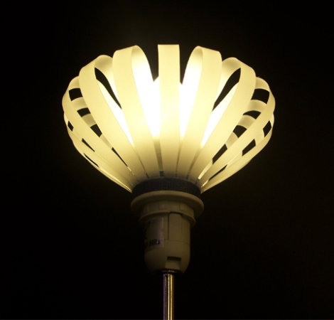 Oasis Lamp